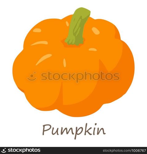 Pumpkin icon. Isometric of pumpkin vector icon for web design isolated on white background. Pumpkin icon, isometric style