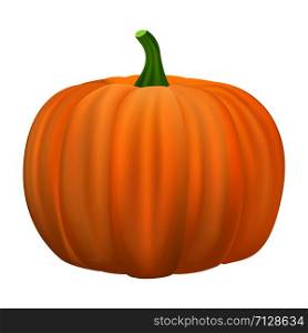 Pumpkin icon. Realistic illustration of pumpkin vector icon for web design isolated on white background. Pumpkin icon, realistic style