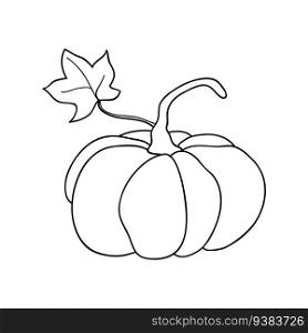Pumpkin icon round fruit with leaf, in simple line drawings. Vector illustration of pumpkin for Halloween or harvest, badges for labels, packaging