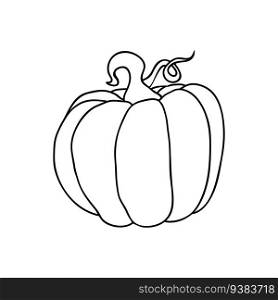 Pumpkin icons big round fruit, in simple line drawings. Vector illustration of pumpkin for Halloween or harvest, badges for labels, packaging