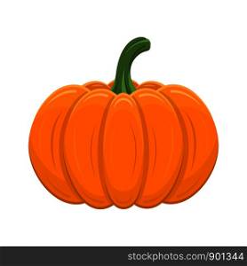 Pumpkin isolated on white background. Cartoon orange squash for Halloween, Thanksgiving. Autumn holidays. Vector illustration for any design.