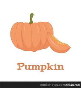 Pumpkin Isolated on White. Flat Design Style. Vector illustration.. Pumpkin Isolated on White. Flat Design Style. Vector illustration