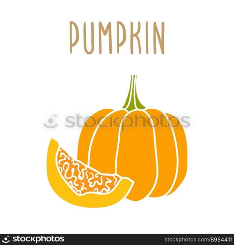 Pumpkin isolated on white vector image