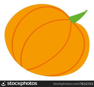 Pumpkin product, harvest festival in Europe, seasonal food. Countryside holiday, vegetable logotype, festive card with harvesting symbol, market . Vector illustration in flat cartoon style. Harvest Festival, Pumpkin Food, Vegetable Vector