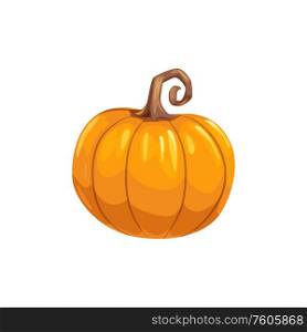 Pumpkin ripe gourd, fall harvest vegetable. Vector squash with stem, autumn food. Squash autumn harvest vegetable isolated pumpkin