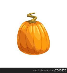 Pumpkin ripe gourd, fall harvest vegetable. Vector squash with stem, autumn food. Squash autumn harvest vegetable isolated pumpkin