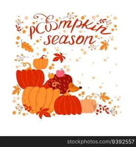 Pumpkin Season. Autumn pumpkin season card with lettering, pumpkins and hedgehog. Modern design elements. Seasonal celebration. Vector illustration.. Pumpkin Season. Autumn pumpkin season card with lettering, pumpkins and hedgehog.