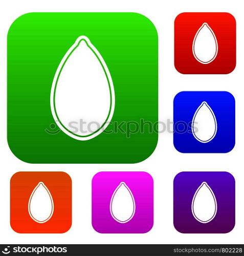 Pumpkin seed set icon color in flat style isolated on white. Collection sings vector illustration. Pumpkin seed set color collection