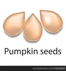 Pumpkin seeds mockup. Realistic illustration of pumpkin seeds vector mockup for web design isolated on white background. Pumpkin seeds mockup, realistic style