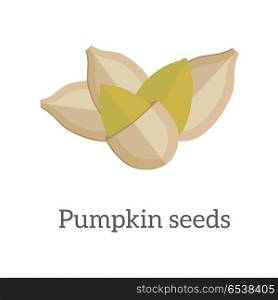 Pumpkin seeds vector in flat style design. Traditional classic snack from pile pumpkin. Diet and therapeutic product. Source of valuable fats, elements, vitamins and oil. Isolated on white background.. Pumpkin Seeds Vector Illustration in Flat Design . Pumpkin Seeds Vector Illustration in Flat Design