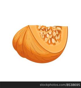 pumpkin slice cartoon. cut white food piece, fresh autumn, top squash raw orange pumpkin slice vector illustration. pumpkin slice cartoon vector illustration