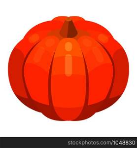 Pumpkin thanksgiving icon. Isometric of pumpkin thanksgiving vector icon for web design isolated on white background. Pumpkin thanksgiving icon, isometric style