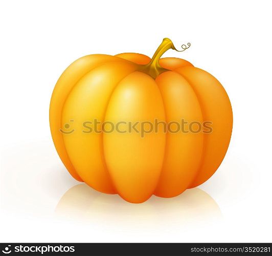 Pumpkin, vector