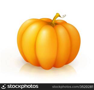 Pumpkin, vector