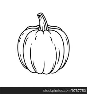 Pumpkin vegetable food and farm harvest veggie, vector line icon. Pumpkin outline, food cooking ingredient, farm market product and vegetarian or vegan cuisine eating. Pumpkin line icon, vegetable food and farm veggie