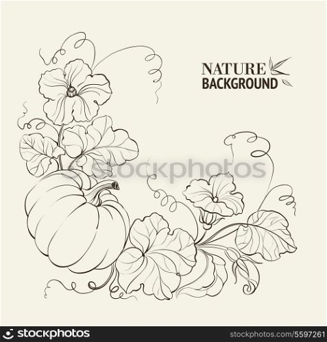 Pumpkin vegetable with leaves on sepia background. Vector illustration.