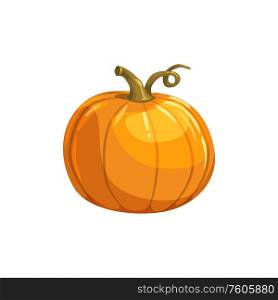 Pumpkin with curved stem isolated vegetarian food. Vector organic squash gourd, autumn vegetable. Gourd pumpkin vegetarian food isolated squash