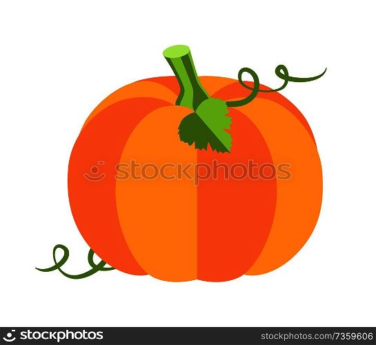 Pumpkin with leaves, sweet ripe vegetable of autumn season, princess party and attribute, cartoon vector illustration isolated on white background.. Pumpkin with Leaves Poster Vector Illustration