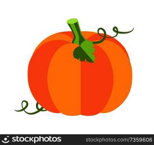 Pumpkin with leaves, sweet ripe vegetable of autumn season, princess party and attribute, cartoon vector illustration isolated on white background.. Pumpkin with Leaves Poster Vector Illustration