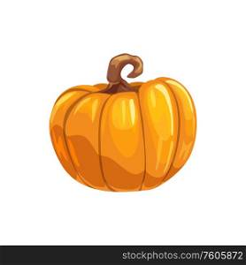 Pumpkin with stem isolated gourd vegetarian food. Vector autumn gourd, Halloween symbol. Ripe autumn pumpkin isolated organic vegetable