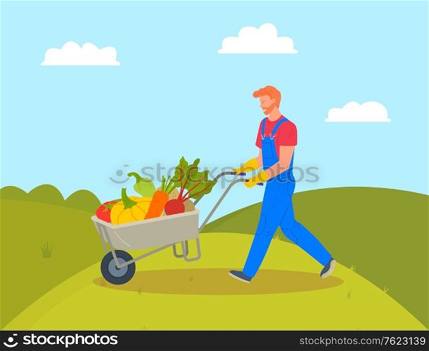 Pumpkins and beetroots, paprika and carrots in cart vector, farming man working on field. Hills and greenery, transportation of harvested vegetables. Flat cartoon. Farming Man with Trolley Loaded with Pumpkins