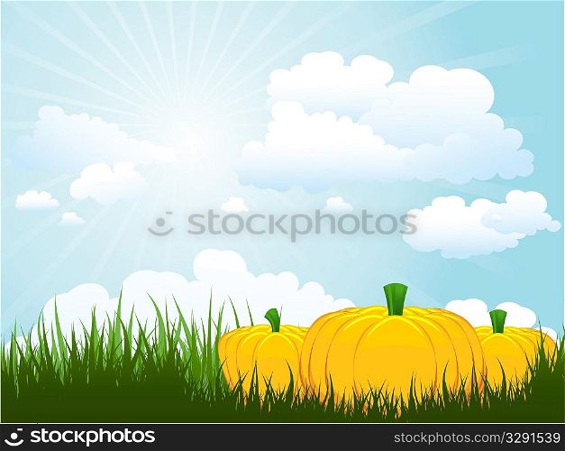 Pumpkins in grass against a sunny sky