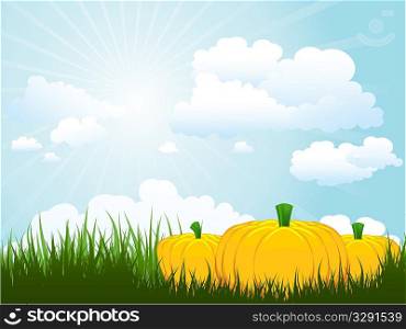 Pumpkins in grass against a sunny sky