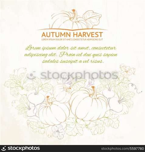 Pumpkins vegetables, Autumn harvest background. Vector illustration.