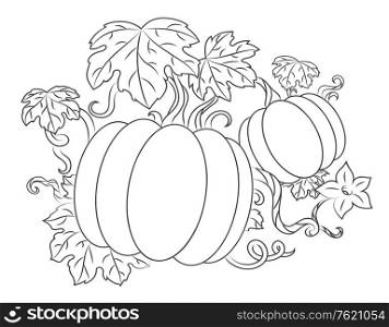 Pumpkins vegetables with leaves for thanksgiving or harvesting design