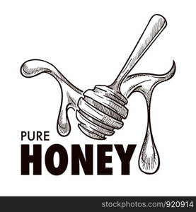 Pure honey dripping around a wooden dipper, natural sweetener, close up sketch art, poster design, flat concept vector illustration on white background with text. Pure honey dripping around a dipper sketch art with text