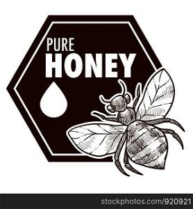 Pure honey poster with bee monochrome sketch outline vector, logo of apiculture insect giving natural organic product with sweet taste. Drop of bio nectar produced by wasp, beekeeping drawing. Pure honey poster with bee monochrome sketch outline