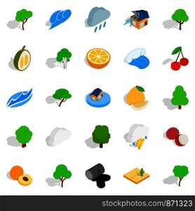 Pure land icons set. Isometric set of 25 pure land vector icons for web isolated on white background. Pure land icons set, isometric style