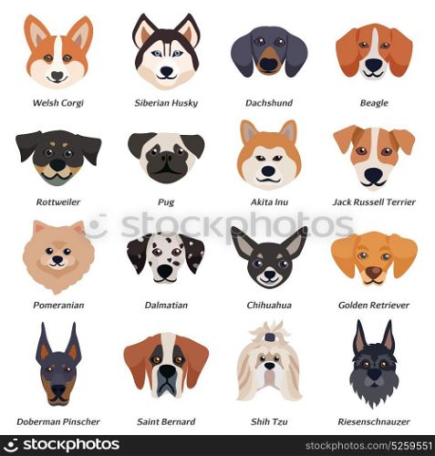 Purebred Dogs Faces Icon Set. Purebred dogs faces icon set with welsh corgi Siberian husky Rottweiler Dalmatian akita inu breeds vector illustration