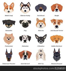 Purebred Dogs Faces Icon Set. Purebred dogs faces icon set with welsh corgi Siberian husky Rottweiler Dalmatian akita inu breeds vector illustration