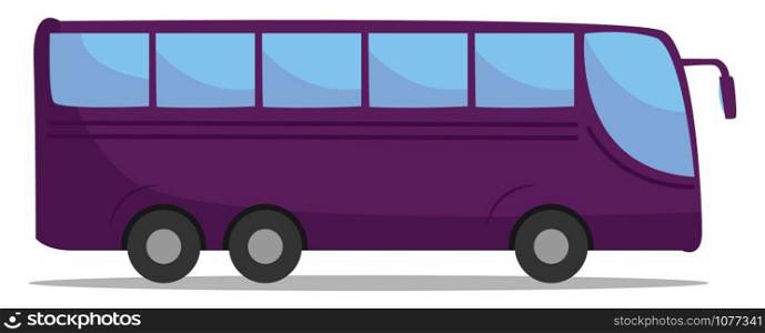 Purple bus, illustration, vector on white background.