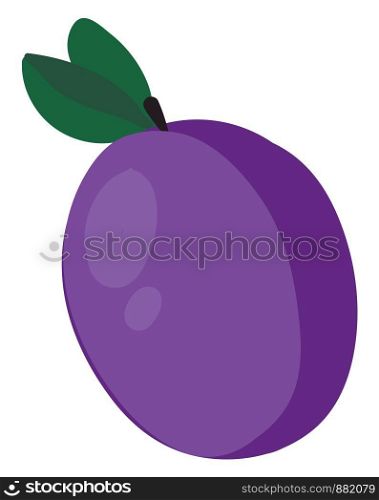 Purple flat prune, illustration, vector on white background.