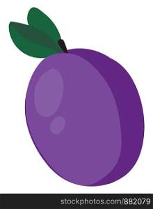 Purple flat prune, illustration, vector on white background.
