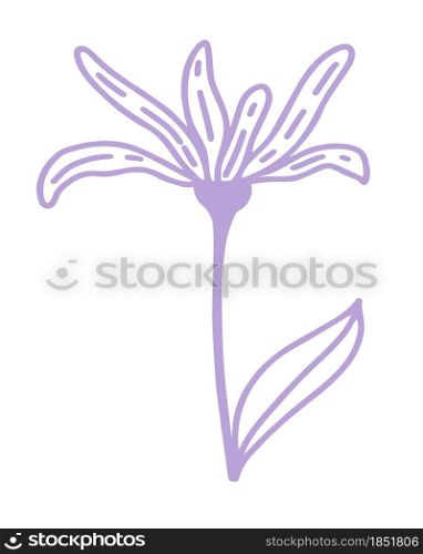 Purple flower, vector minimalistic illustration. Single flower with leaves, hand drawing. A simple botanical element for decoration.. Purple flower, vector minimalistic illustration.