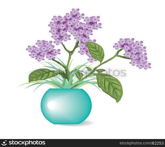 purple flowers in pots
