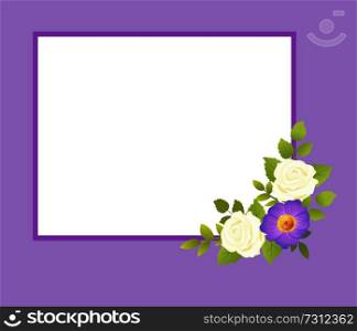 Purple frame with white rose flowers and gentle daisy with green leaves vector in realistic design isolated. Buds and blossom, decorative floral elements. Purple Frame with White Rose Flowers Gentle Daisy