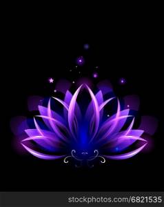 purple, glowing lotus on black background