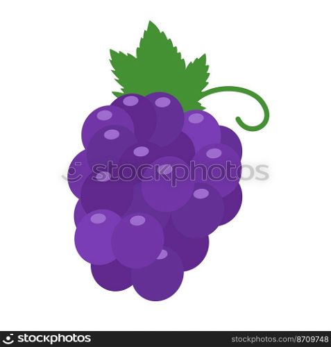 Purple grapes. Healthy sweet fruit for vegetarians.