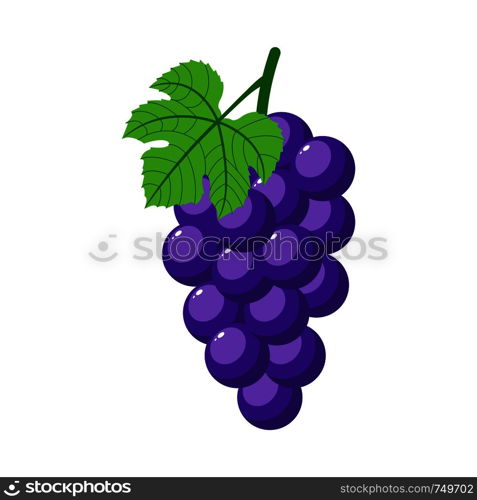 Purple grapes isolated on white background. Bunch of purple grapes with stem and leaf. Cartoon style. Vector illustration for any design.