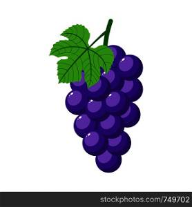 Purple grapes isolated on white background. Bunch of purple grapes with stem and leaf. Cartoon style. Vector illustration for any design.