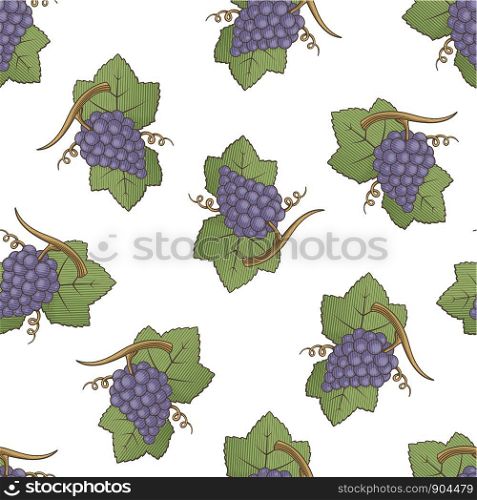 Purple grapes with leaves colored illustration seamless pattern background with engraving shading.