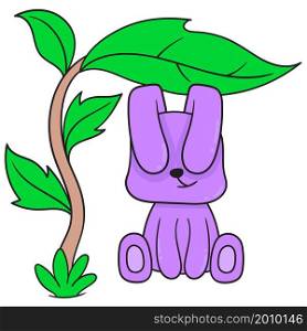 purple rabbit is taking shelter under a tree with wide leaves