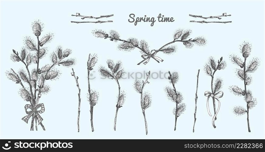 Pussy Willow branches set. Spring bouquet with ribbon bow. Hand-drawn sketch black and white design isolated on blue background. Outline Sunday Easter symbol collection. Vector illustration.. Pussy Willow branches set. Spring bouquet with ribbon bow. Hand-drawn sketch black and white design isolated on blue background. Outline Sunday Easter symbol collection. Vector.