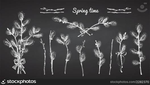 Pussy Willow branches set. Spring bouquet with ribbon bow. Chalk Hand-drawn sketch black and white design isolated on chalkboard background. Outline Sunday Easter symbol collection Vector illustration. Pussy Willow branches set. Spring bouquet with ribbon bow. Chalk Hand-drawn sketch black and white design isolated on chalkboard background. Outline Sunday Easter symbol collection. Vector