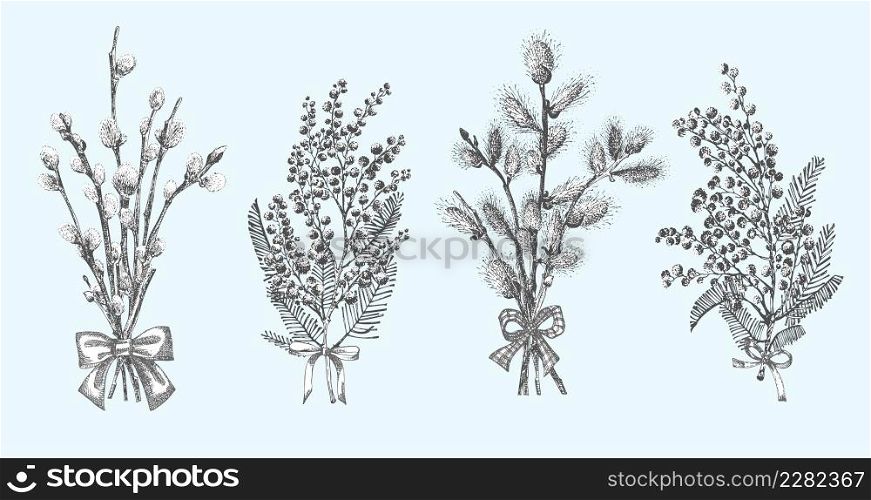 Pussy Willow, mimosa branches set. Spring bouquets with bow Hand-drawn sketch black and white design isolated on blue background. Outline Sunday Easter symbol collection Vector illustration. Pussy Willow, mimosa branches set. Spring bouquets with bow Hand-drawn sketch black and white design isolated on blue background. Outline Sunday Easter symbol collection Vector