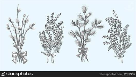 Pussy Willow, mimosa branches set. Spring bouquets with bow Hand-drawn sketch black and white design isolated on blue background. Outline Sunday Easter symbol collection Vector illustration. Pussy Willow, mimosa branches set. Spring bouquets with bow Hand-drawn sketch black and white design isolated on blue background. Outline Sunday Easter symbol collection Vector